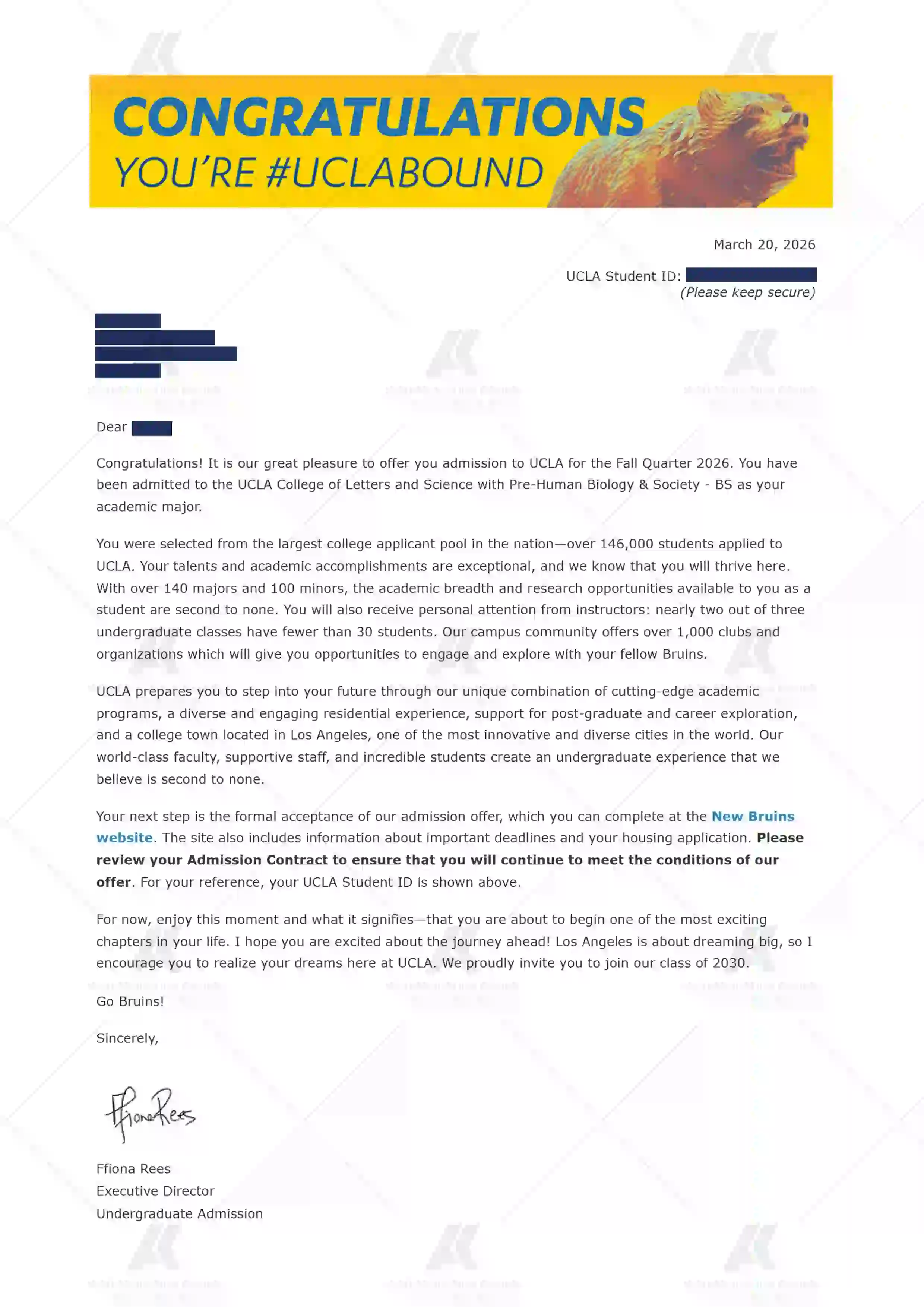W同学的Offer