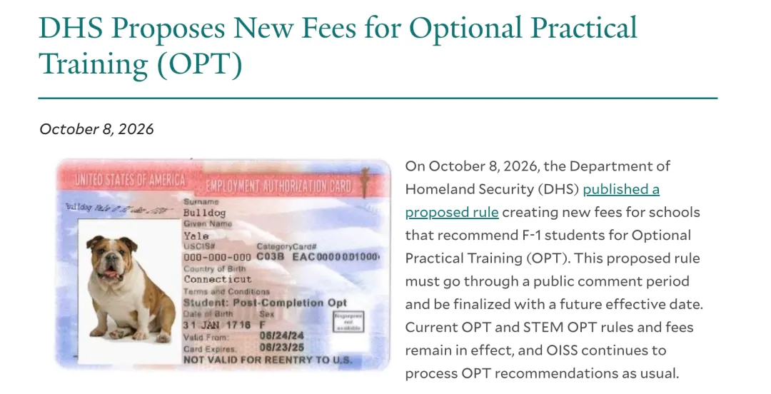 美国DHS OPT收费新规公告截图，F1学生OPT工卡EAD示意图